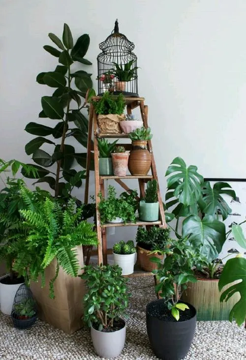 چند ایده ناب برای دیزاین گیاهان ! ☘ 
 هنر خلاقیت خلاقانه 