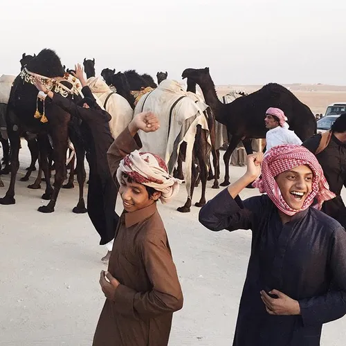 The AlDosary tribe from SaudiArabia celebrate their camel