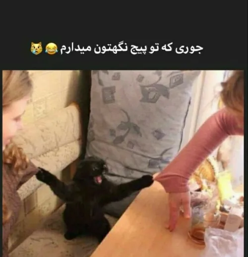 اقای چت