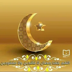 آیَتُ الله مُجْتَهِدےٖ تِهْرَانےٖ(ره):