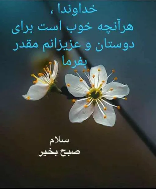 سلام.صبح بخیر🌟