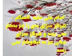 امام علی علیه  السلام :