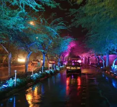بوشهر شهر زیبای مـــــن 