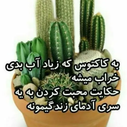 کیا بیدارن بچتیم