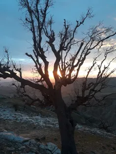 غروب زیباییی خودش رو داره😍