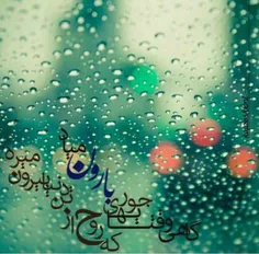 دلتنگ یک روز بارانی ام ...