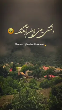 زخم برداشتم اما نمُردم