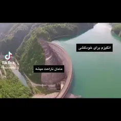 با اینکه سرزنش میشم اما...