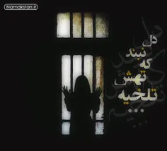 کاش تلخی بود...!