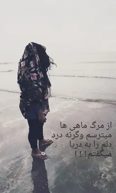 #بوشهر #گناوه