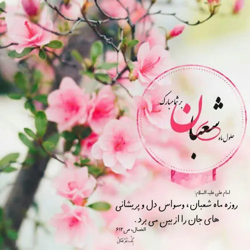 🎀🍃 زیــنـبـیــــون🍃🎀