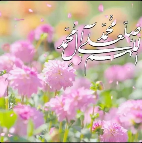 ‍🌸 آخرین دوشنبه مهر ماه تون