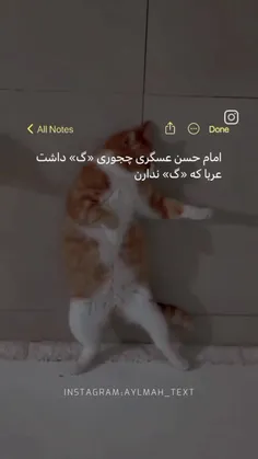 ماطریسک 🤔