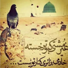 #شهادت_امام_محمدباقر_علیه_السلام_تسلیت_باد.