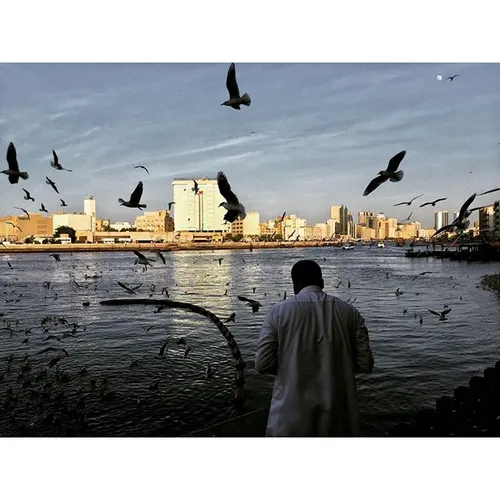 A local man feeds pigeons on a cool, late December aftern