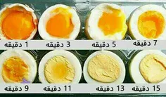 مدت زمان پخت تخم مرغ #دانستنی ها #بخون
