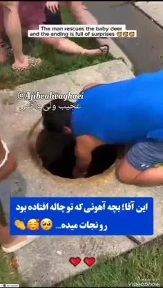 این آقا بچه آهویی رو که تو چاله افتاده بود نجات میده و اد