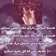 تئوری