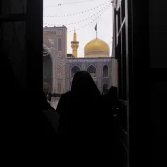 امام رضا خیلی دوست دارم 