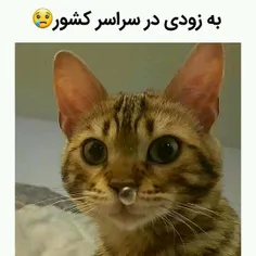 به زودی زود 😂 😂