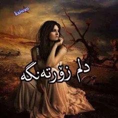 تقدیم به کچی کرد