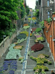 زیباسازی فضاهای شهری با استفاده از گلدان