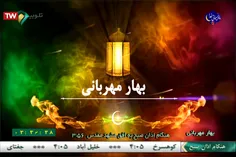 تواشیح امام رضا 