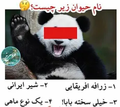 ب نظر من ک خزنده ست😐 ✋ 😹