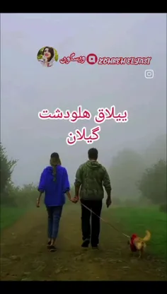 یکی از مناطق زیبا و سرسبز در کشور ما استان گیلان است که ب