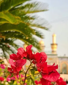 🌿اَلسَّلامُ عَلَيْكَ يا اَبا عَبْدِاللهِ وَعَلَى الاَْرْو