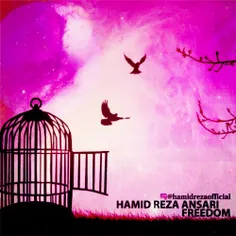 دانلود آهنگ جدید بی کلام حمیدرضا انصاری به نام Freedom بز