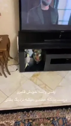 فقط شمالی خوندنش😍