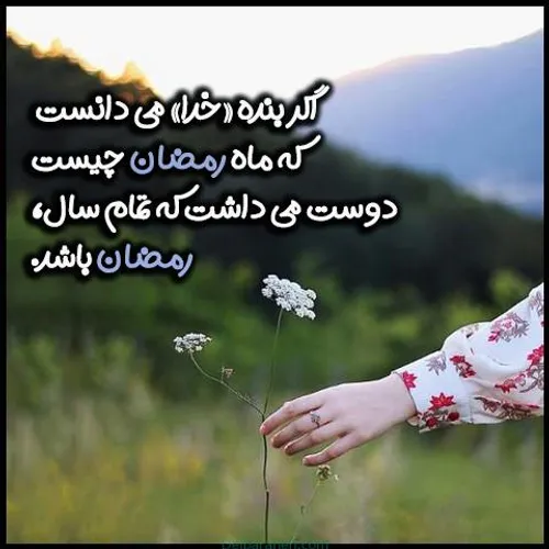 مذهبی fatemeh.5029 33004159 - عکس ویسگون