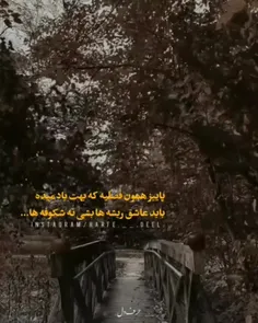 منم به اشتباه عاشق شکوفه ها شدم نه ریشه 💔🍂