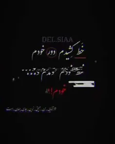 فالو کن فالو شی