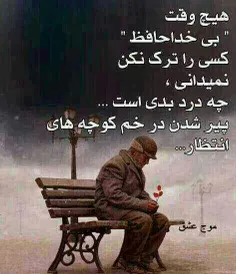 هیچ کس تنهاییم راحس نکرد.