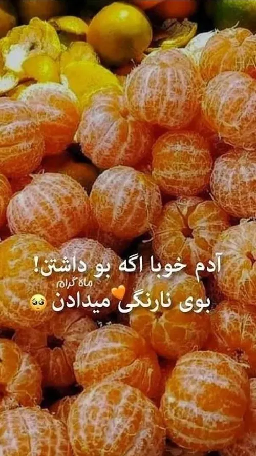 آدم خوبا اگه بو داشتن