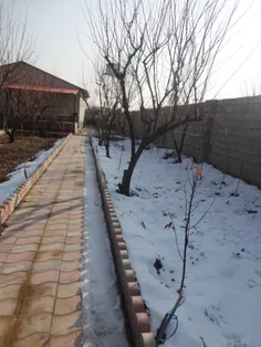 مسابقه...البته مال پارساله تو باغ. امسال ک تهران برف ندید