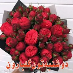 🌹درود به دوشنبه ۹ خرداد خوش‌آمدید