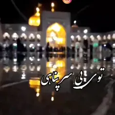شهادت امام رضا(ع)تسلیت باد..