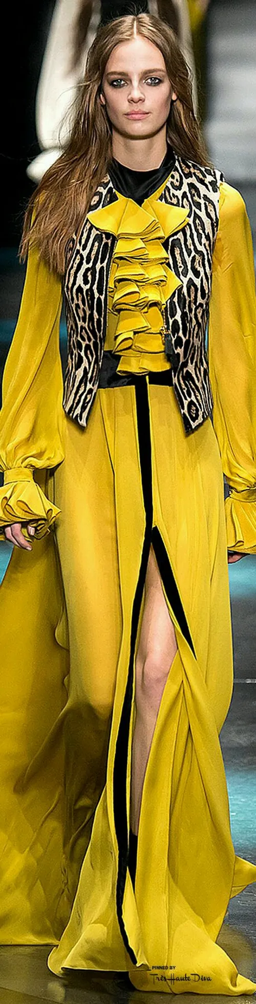 Roberto Cavalli 2015