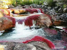 رودخانه ی پنج رنگ، زیباترین رودخانه جهان : کانو کریستالس 