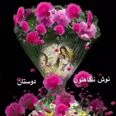 گوناگون amiran.h 31223150