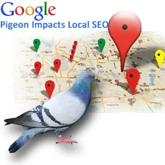 الگوریتم کبوتر گوگل که کاربران را در جستجوی محلی و منطقه 
