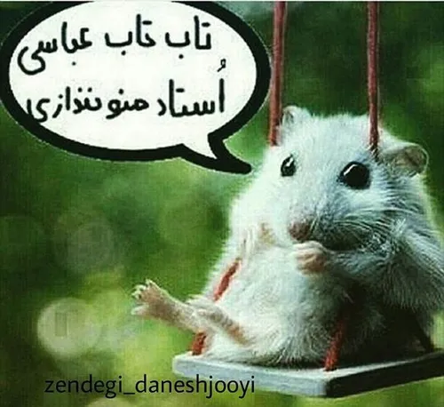 هه هههههههههههههههههههه