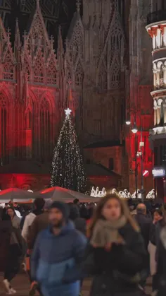 چقدر فضا و هیاهوی شهرهاشون تو کریسمس قشنگ و حال خوب کنه :