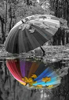 چتر باران و پاییزی تلخ