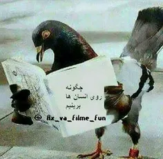 بعله اینا تحصیل کرده ان میدونن کجا برینن