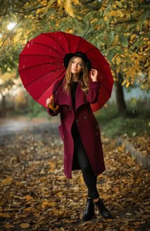 پاییز خزان چتر منظره