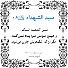 سید الشهداء (ع):